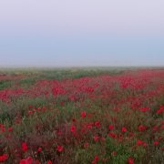 Доброе утро юбимая