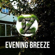 tetzet-evening breeze(forest street records 2026) 