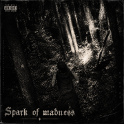 Spark of madness - madness