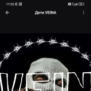 Гаражи и vein