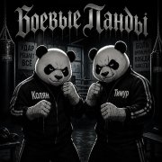 Тимур Абиров санитар и груз 200