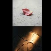 S.R.G. - я не дарил..