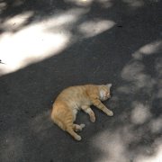Асташов - На низком старте