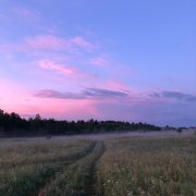 Яwa Harron — Твой будильник по утрам
