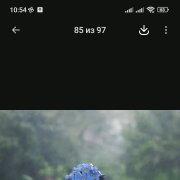 Автор текста Люсьен С
