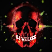 DJ weilxcc - hard phonk - фото