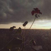 Alen K. - Ах, как прекрасны август с сентябрём