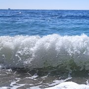 Гала Брошенные старики
