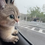 Эскер72 свет в моих глазах