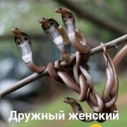 Асташов - Браслеты