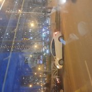 Днх Собаки реперов