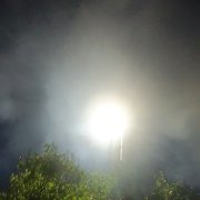 Боровик Сергей -Ночной обман
