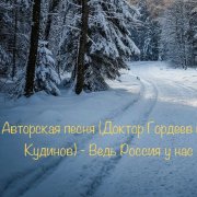 Доктор Гордеев и Доктор Кудинов- Ведь Россия у нас одна