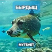 Mytsvet - бырдыщ