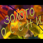 Золото осени - Александр Дерновой