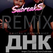 Джиган feat. Артем Качер - ДНК (SubreakS remix)