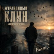 Игорь Бакань - Журавлиный клин