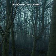 Madiy Insayt - Sonic Algebra