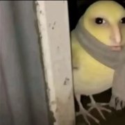 ОладушкиXD (пародия на пирожки)