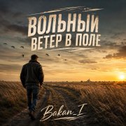 Игорь Бакань - Вольный ветер в поле