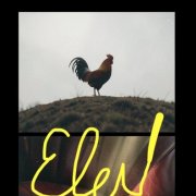 Elev-цепи - фото