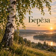 Апро - Берёза