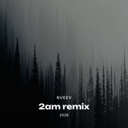 DJ nveev - 2am(remix)