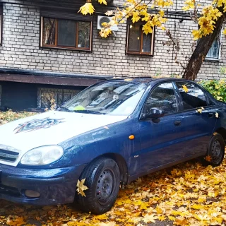 Девочка и Ланос