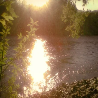 Confabulation about last summer