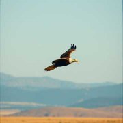 Евгений Чаринцев