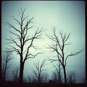 Мамы павших Героев