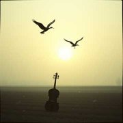 ИАН  Журавли