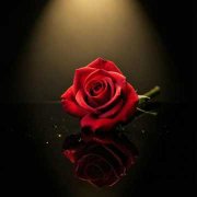Мой Максим❤️🌹💋