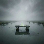 Одна - фото