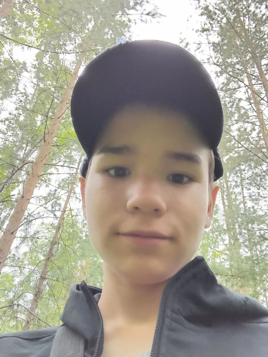 Гуляем в лесу 🌳
