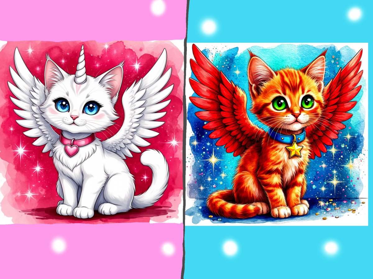 Фото