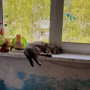 Фото